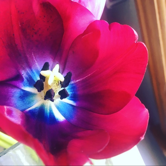 Meet your Posher, Mary - Picture 1 of 1